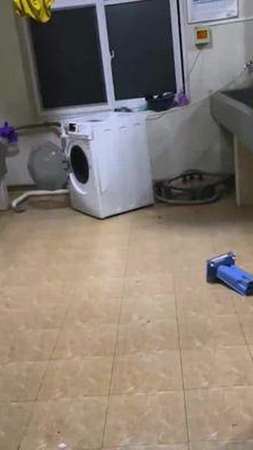 你家洗衣機也是這樣的嗎？實用好物分享 洗衣機腳墊讓共享洗衣機更安心